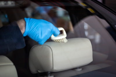 Cepillo multiusos Koala